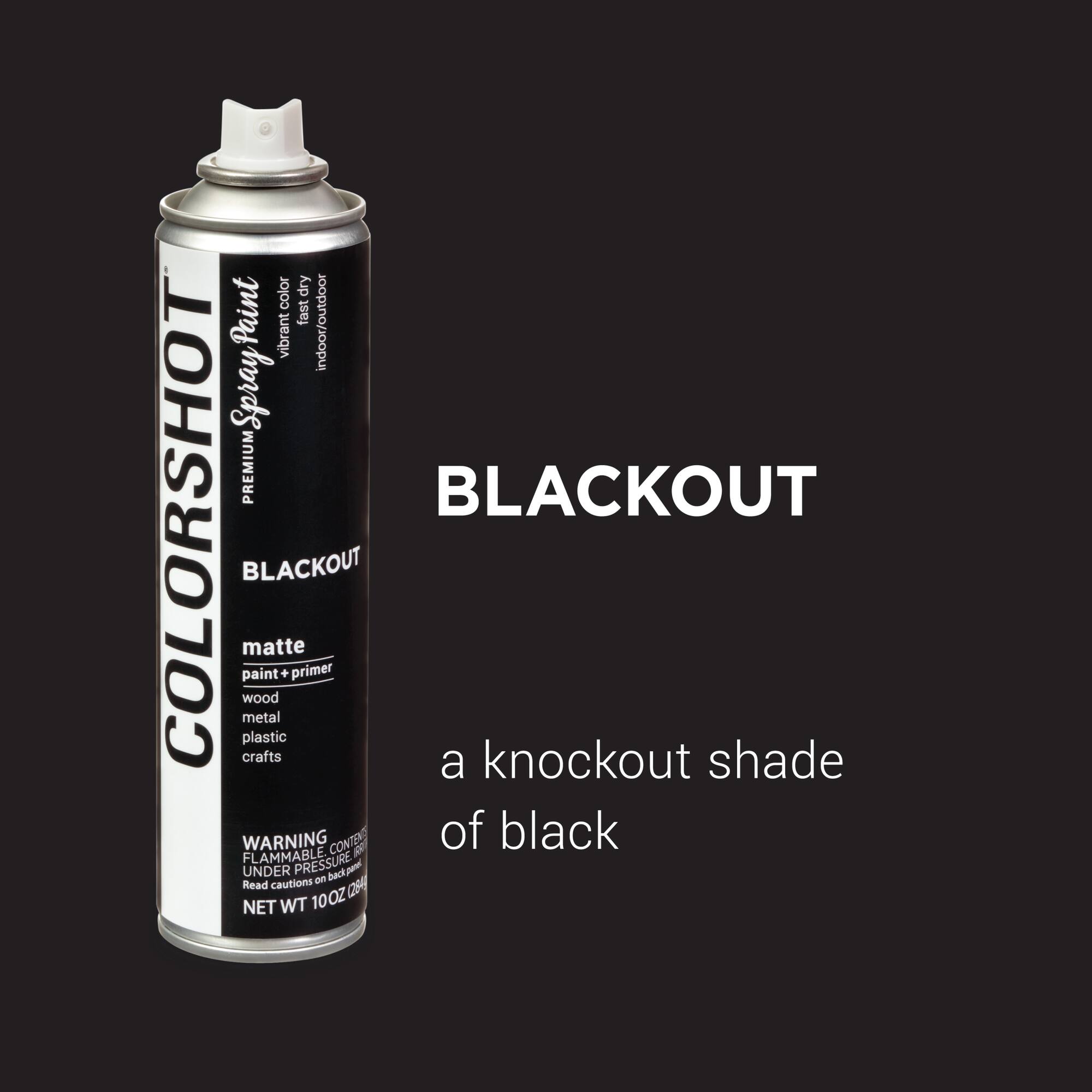 COLORSHOT® Blackout Matte Spray Paint